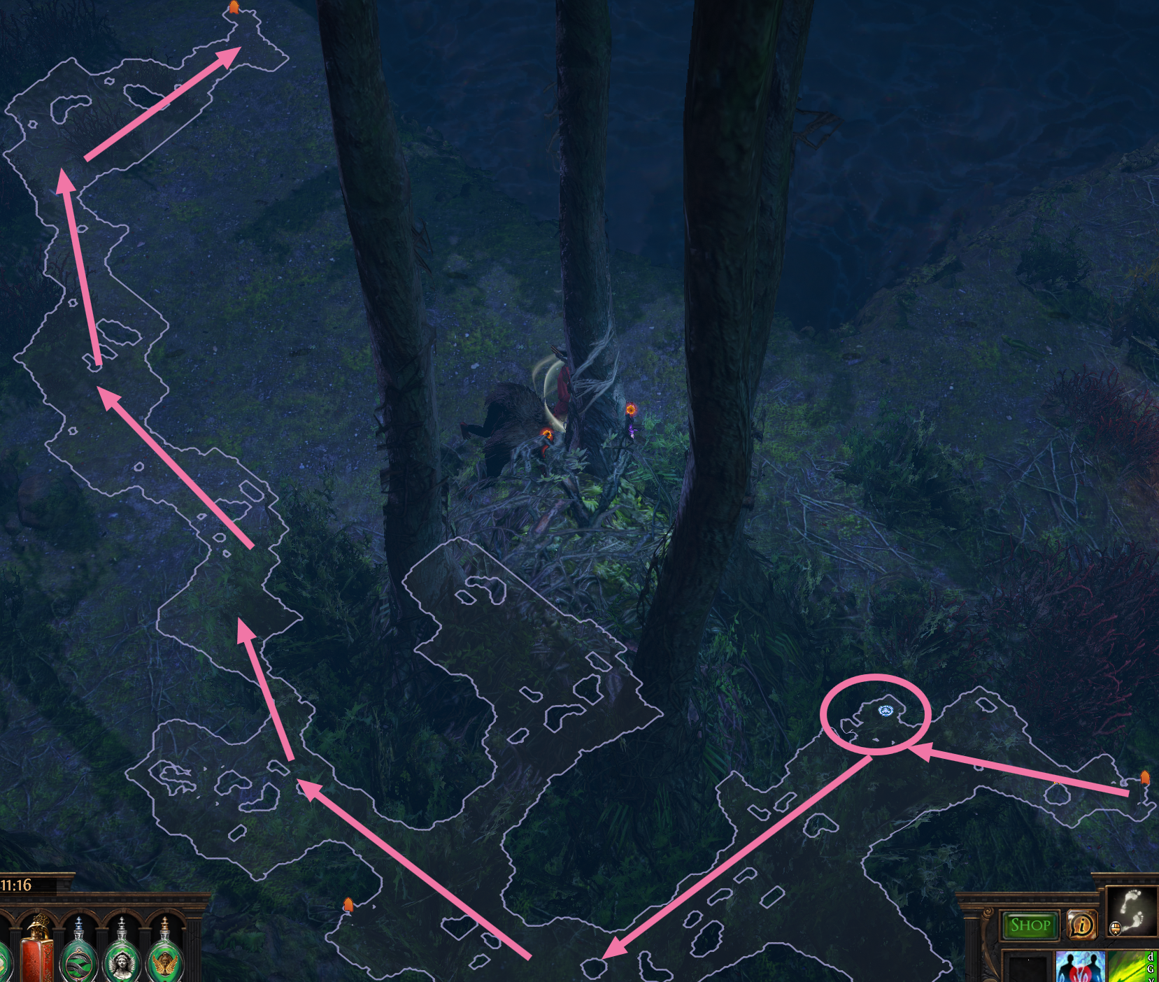 Northern Forest Variant 2